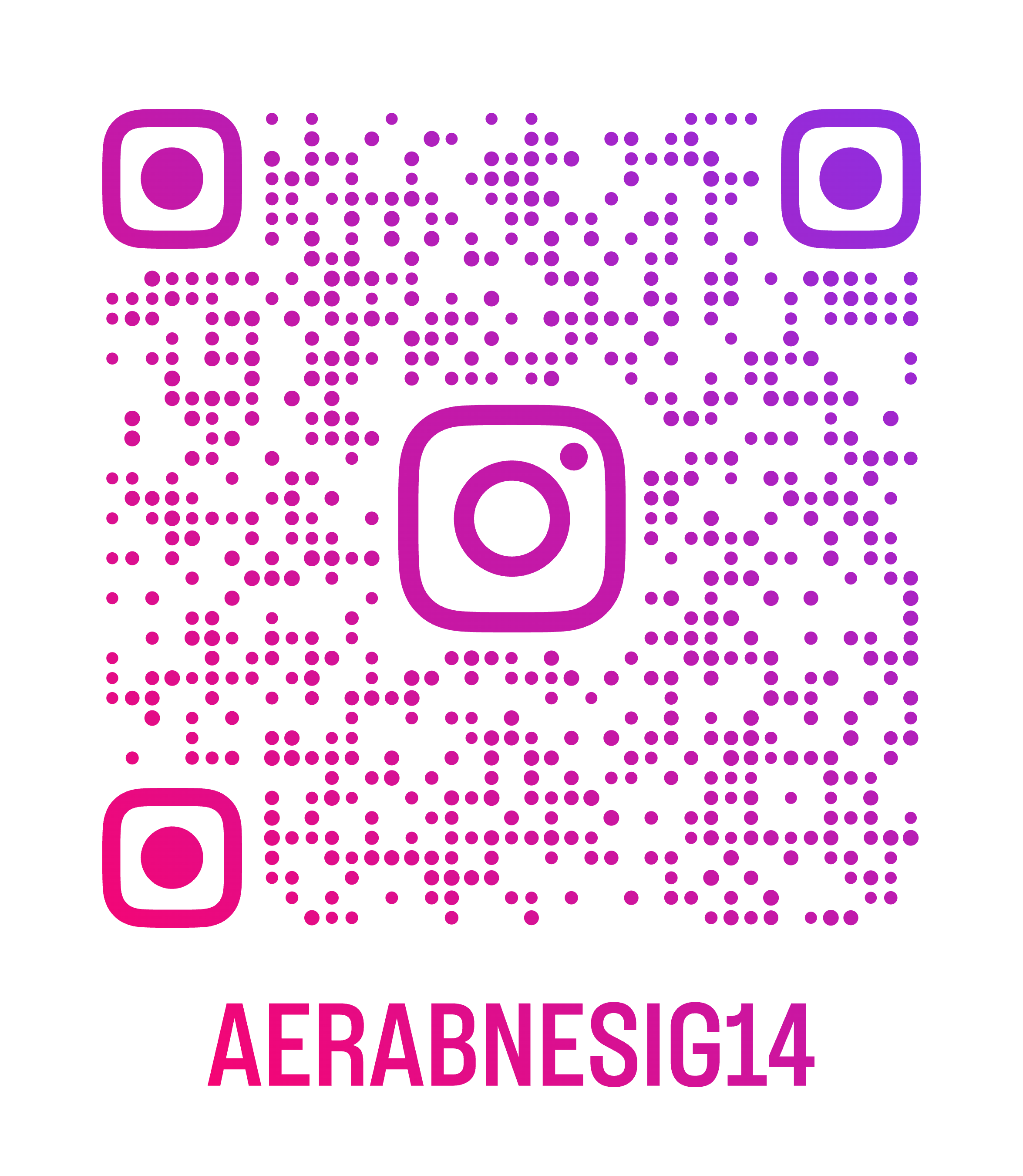 aerabnesig14_qr (1)